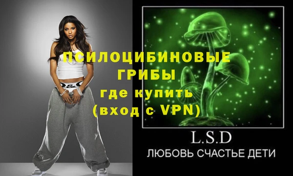 дурь Алексин