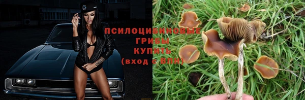 молекула духа Алзамай