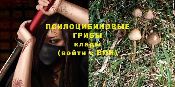 дурь Алексин