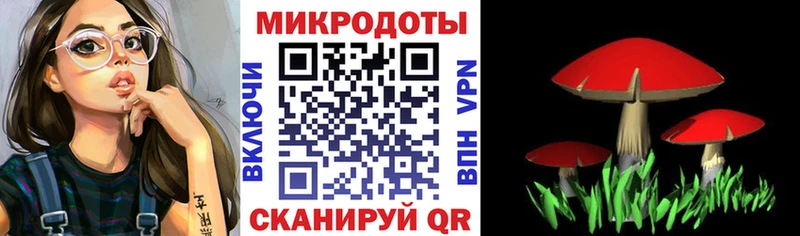 Псилоцибиновые грибы MAGIC MUSHROOMS  сайты даркнета формула  Зуевка  kraken вход 