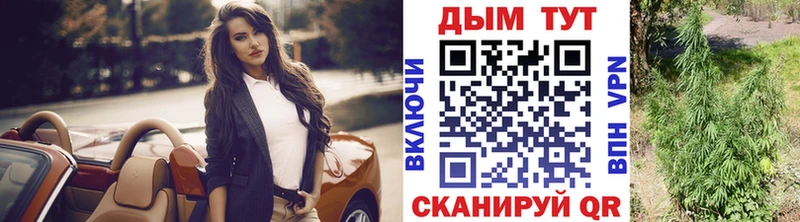 где купить наркотик  Зуевка  Канабис конопля 